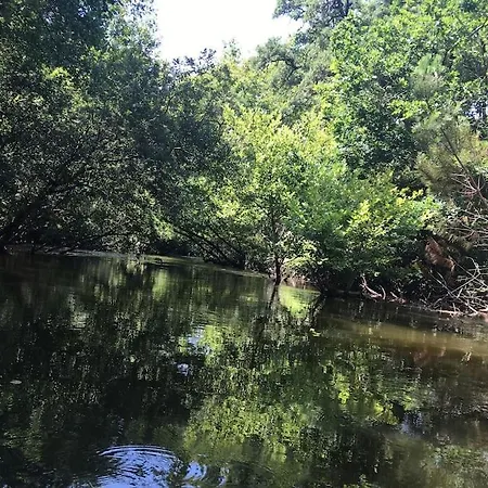 شقة Chez Loulou *